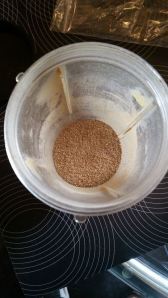 10484120_10152518679611912_261465535086427340_n